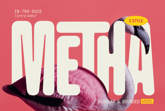 Metha Font: Download & Design Inspiration